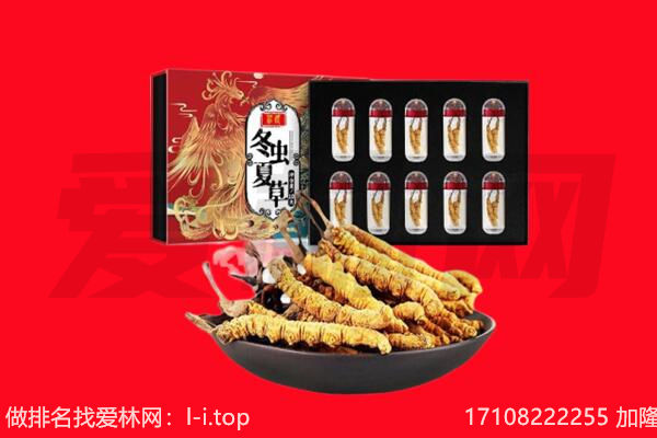 邢台市回收虫草.jpg